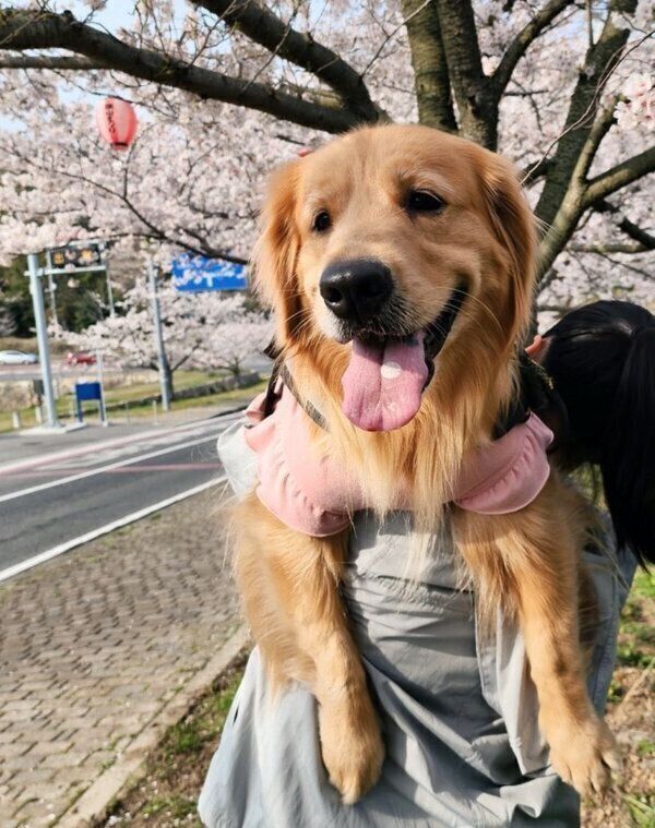 嬉しそうなシャーロットちゃん