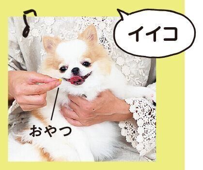 撮影/尾﨑たまき