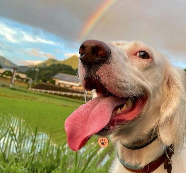 笑顔の麦ちゃん