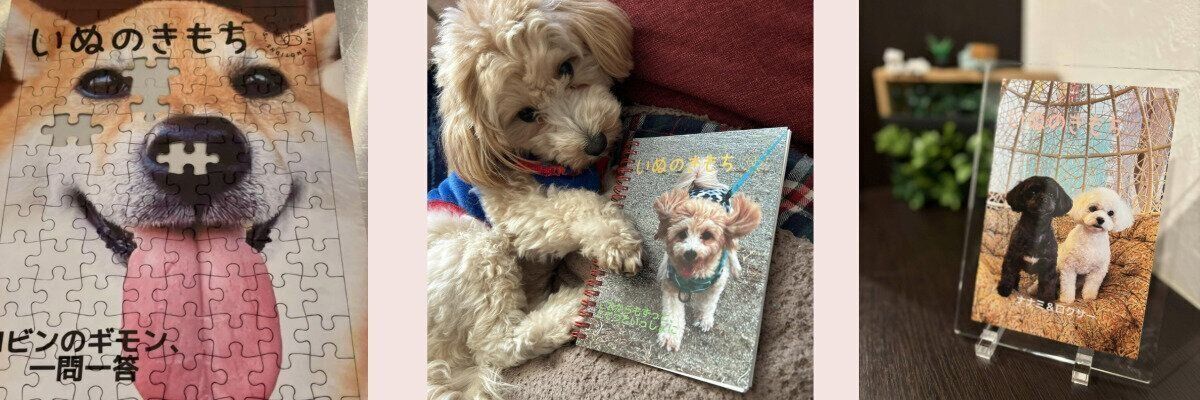 うちのコ表紙メーカー