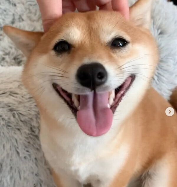 笑顔が可愛いみりんちゃん