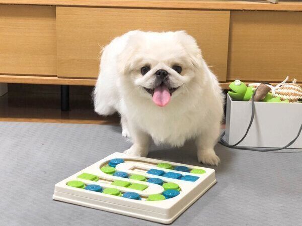 笑顔が可愛いぷんちくん