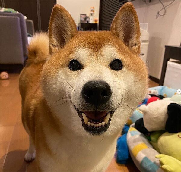 笑顔のゆずくん