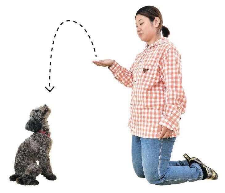 放物線を描くようにフードを投げる