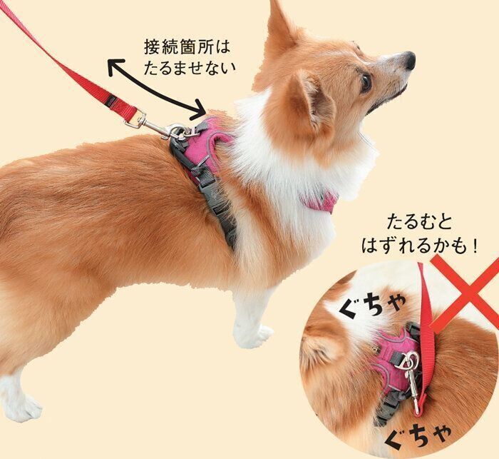 ナスカンの破損やゆるみを確認してからたるまないように接続しよう