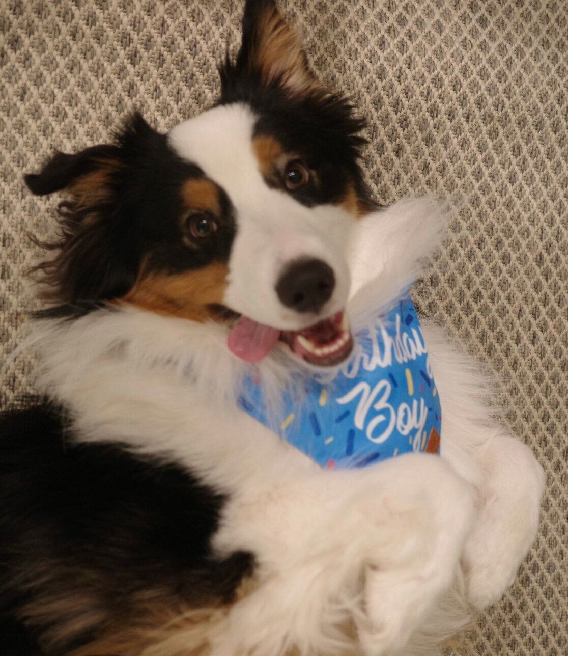 1才になったコペルニクスくん