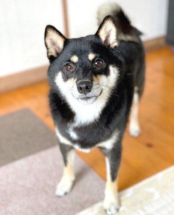 見つめるあさちゃん