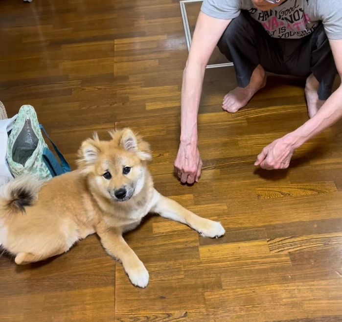 獅子丸くんとじいじ