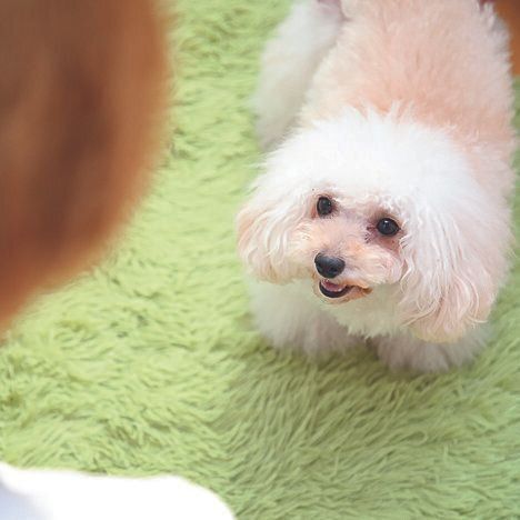 撮影／尾﨑たまき