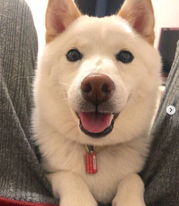 笑顔のむぎちゃん