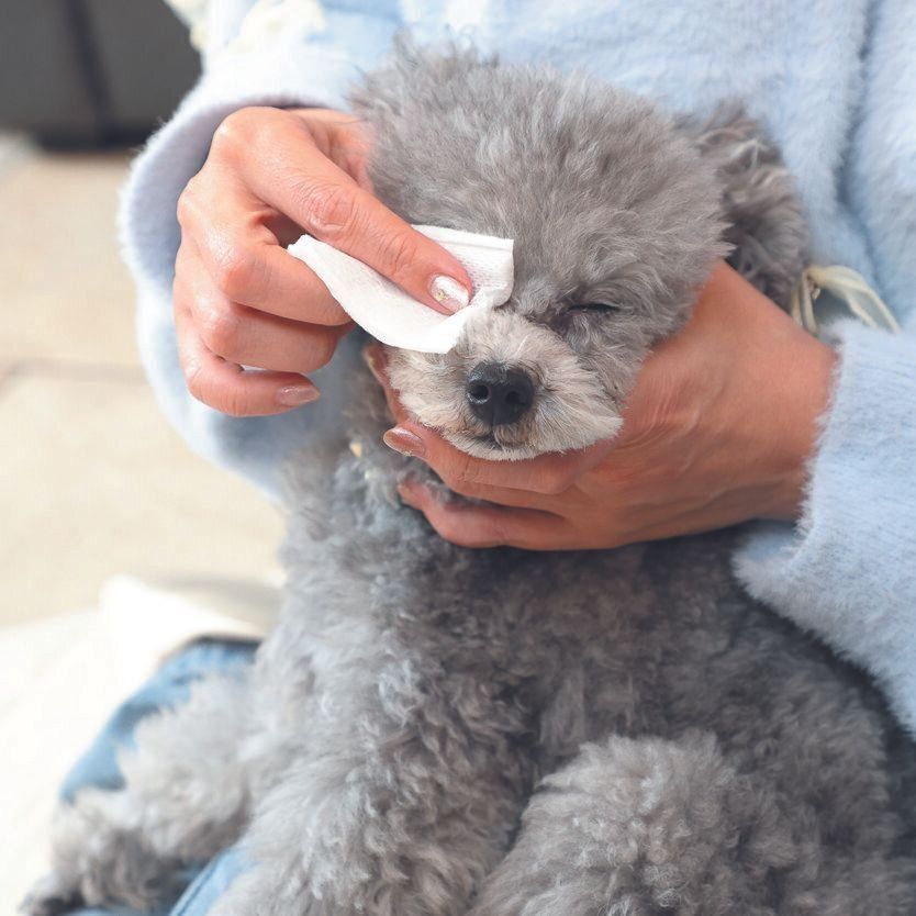 撮影／尾﨑たまき