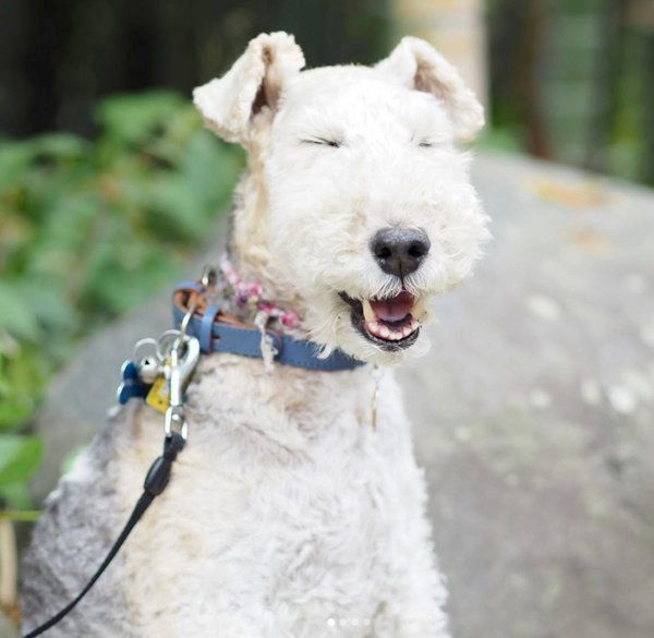 目を閉じるこっぺぱんちゃん