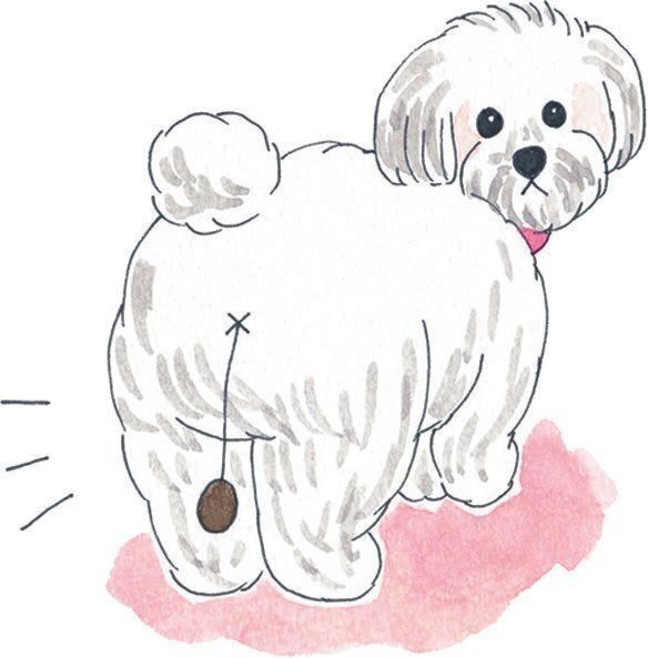 イラスト／今井夏子