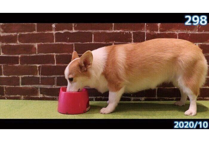 1才のころに撮影したつむぎちゃん