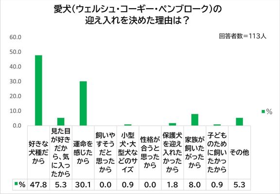 Q. ウェルシュ・コーギー・ペンブロークを迎え入れた理由は?