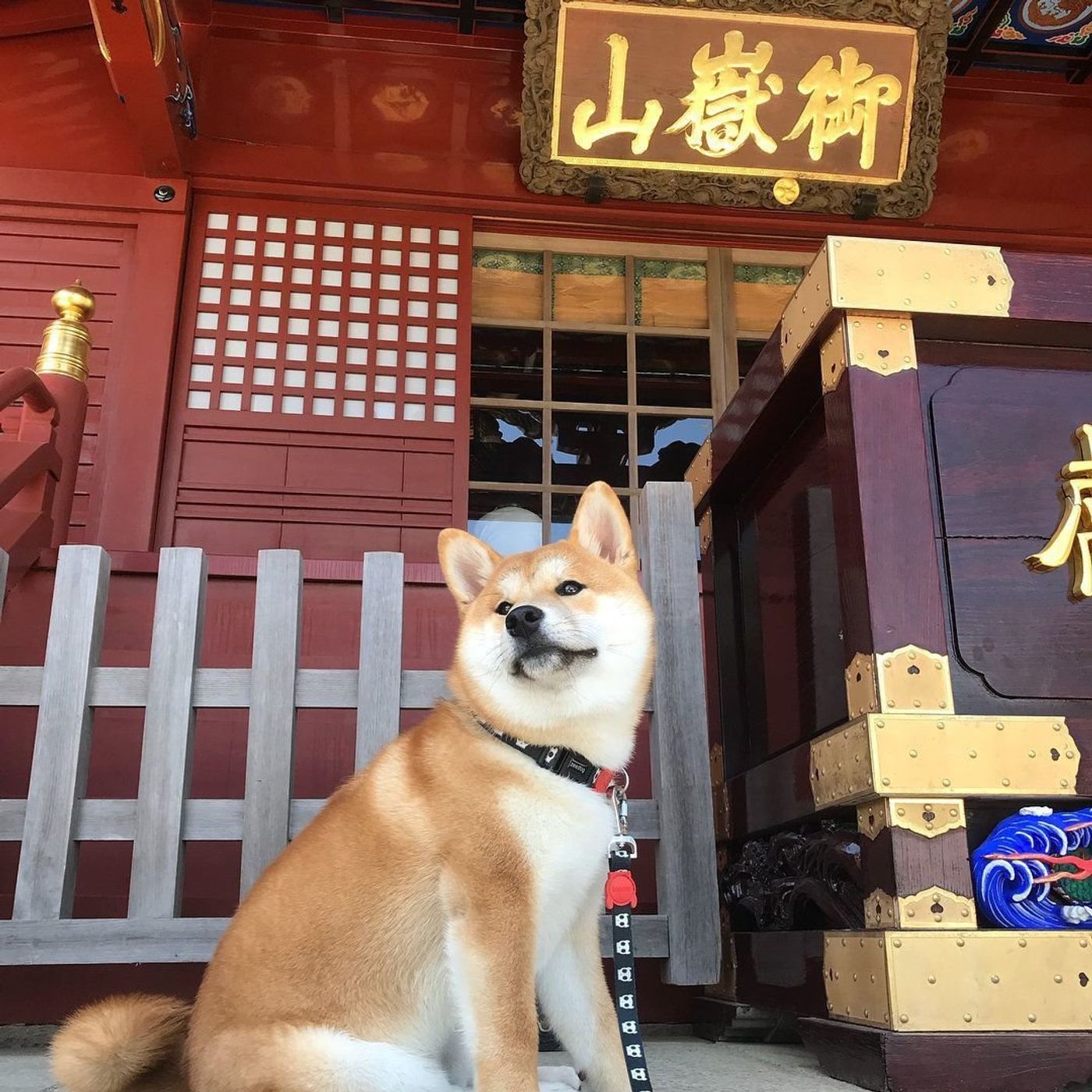 東京都 愛犬と初詣に行ってみない 犬連れokの 武蔵御嶽神社 いぬのきもちweb Magazine 東京都 愛犬と初詣に行ってみない 犬連れokの 武蔵御嶽神社 いぬのきもちweb Magazine