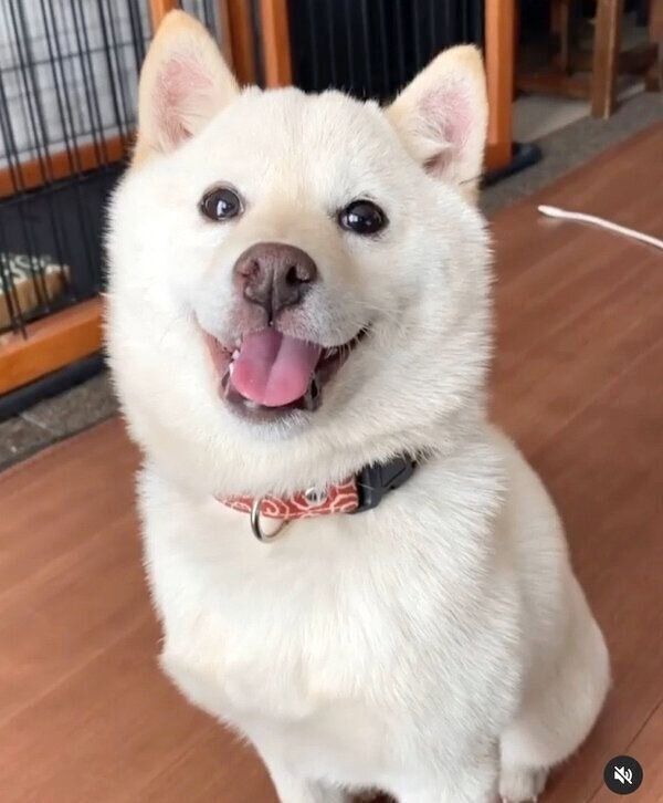 笑顔のモチ代さん