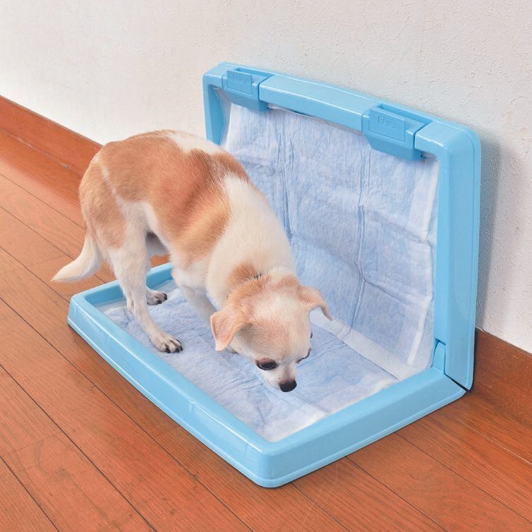 撮影／佐藤正之