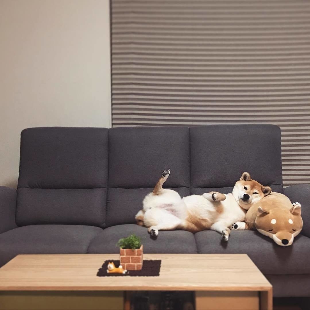 日曜日のおとうさん