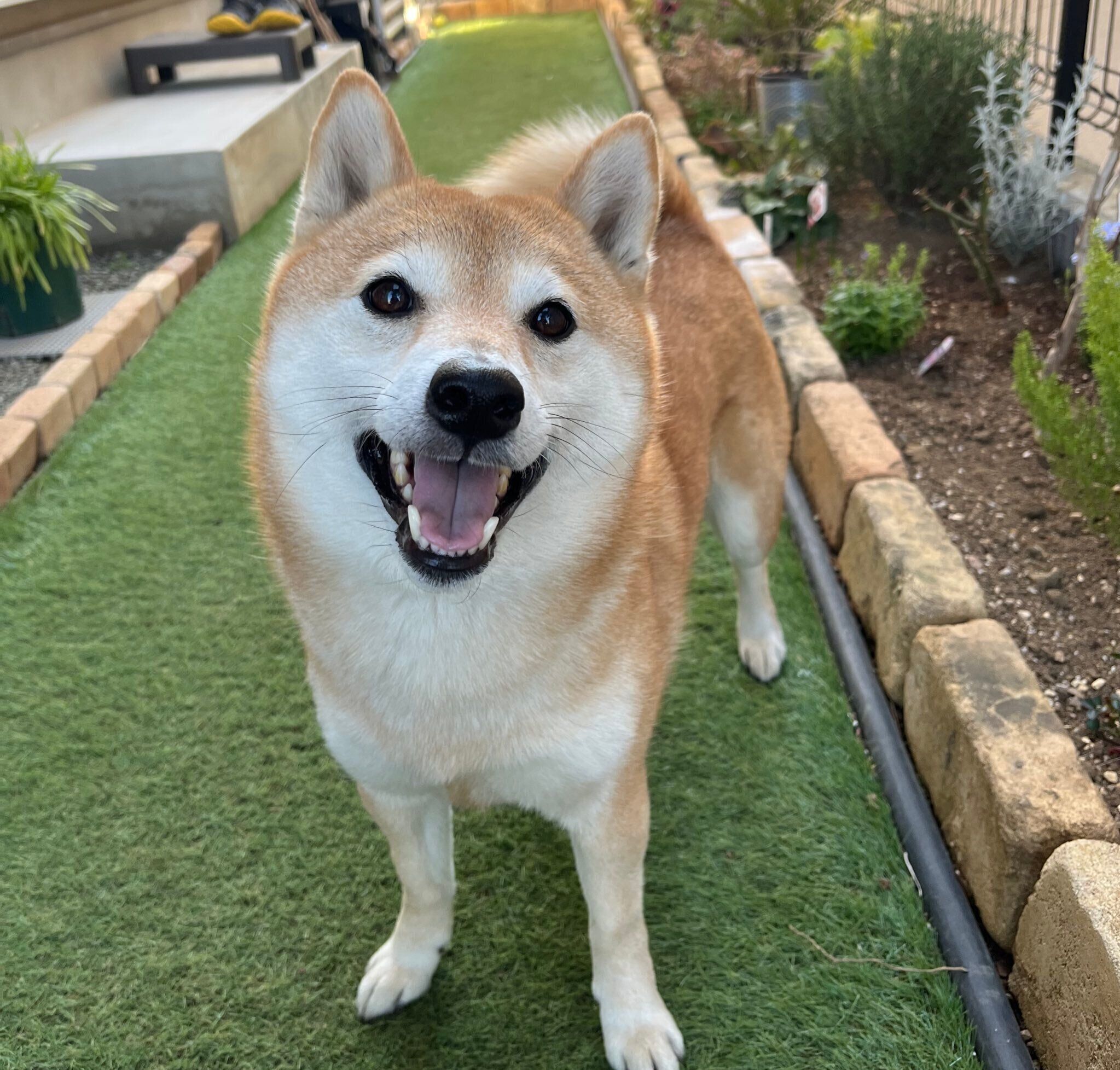 ニコッと笑うおとちゃん