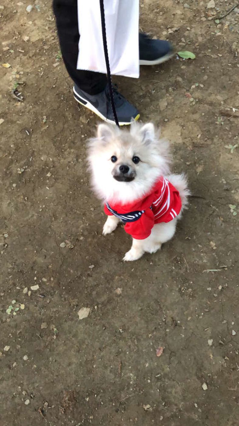 規則正しい生活はng むだ吠えしない犬に育てるしつけのコツ いぬのきもちweb Magazine 規則正しい生活はng むだ吠えしない犬に育てるしつけのコツ いぬのきもちweb Magazine