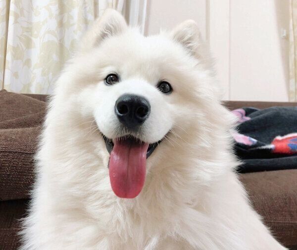 笑顔のサニーちゃん