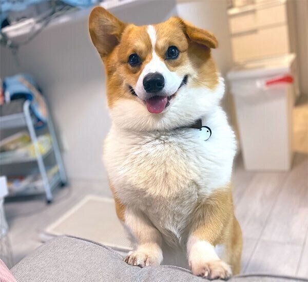 にっこりするラッキーくん