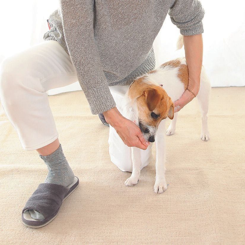 撮影／尾﨑たまき