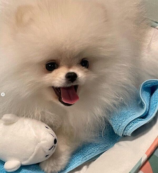 笑顔のむうちゃん