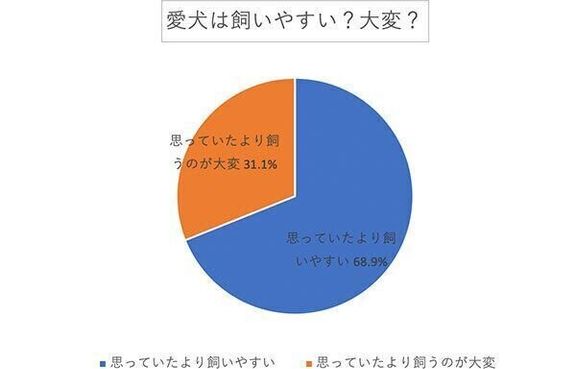 愛犬は飼いやすい? 大変?