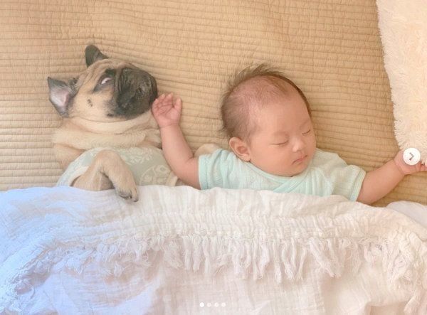 添い寝するパグと妹ちゃん