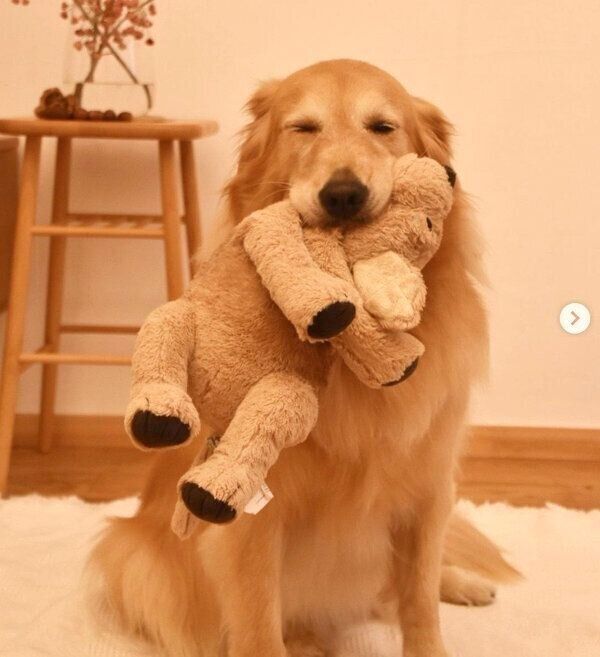 寝落ちしたハルちゃん