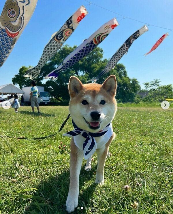 笑顔が可愛いすずちゃん