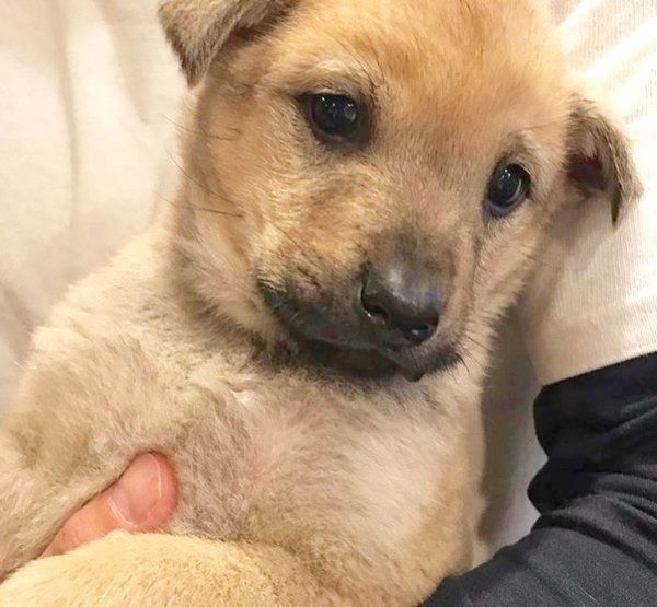 抱っこされるりくちゃん