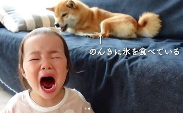 氷を食べる花子ちゃんと、大泣きするモモ子ちゃん