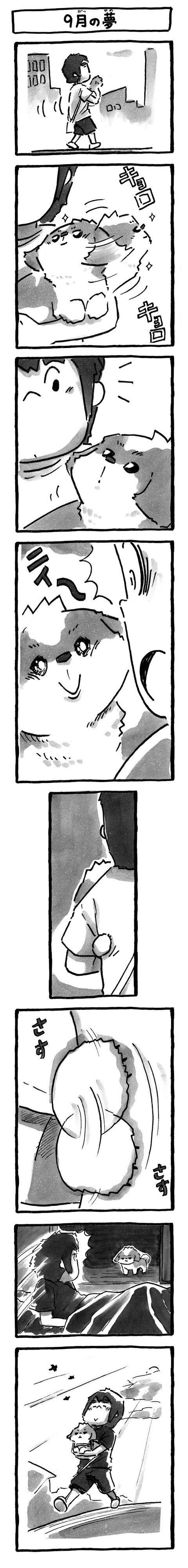 シーズー犬マンガてんぽshihtzu