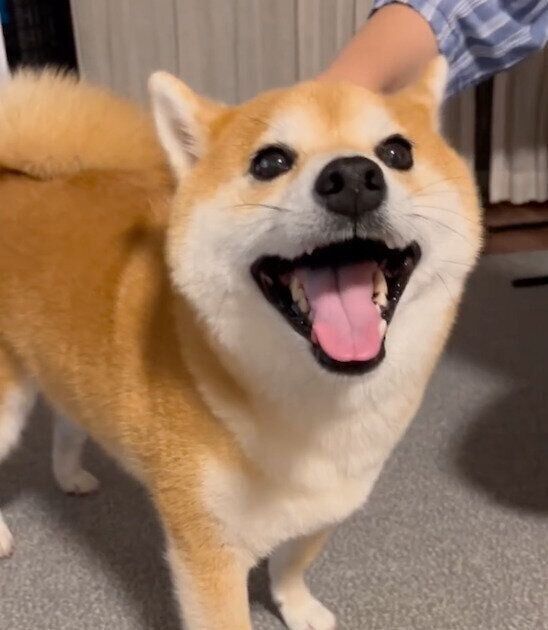 笑顔が可愛い文太くん