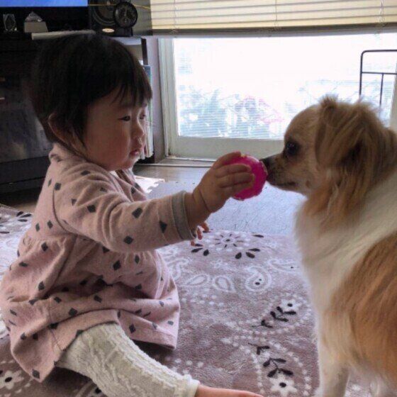 MIX・小太郎くん・お孫ちゃんと