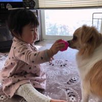 MIX・小太郎くん・お孫ちゃんと