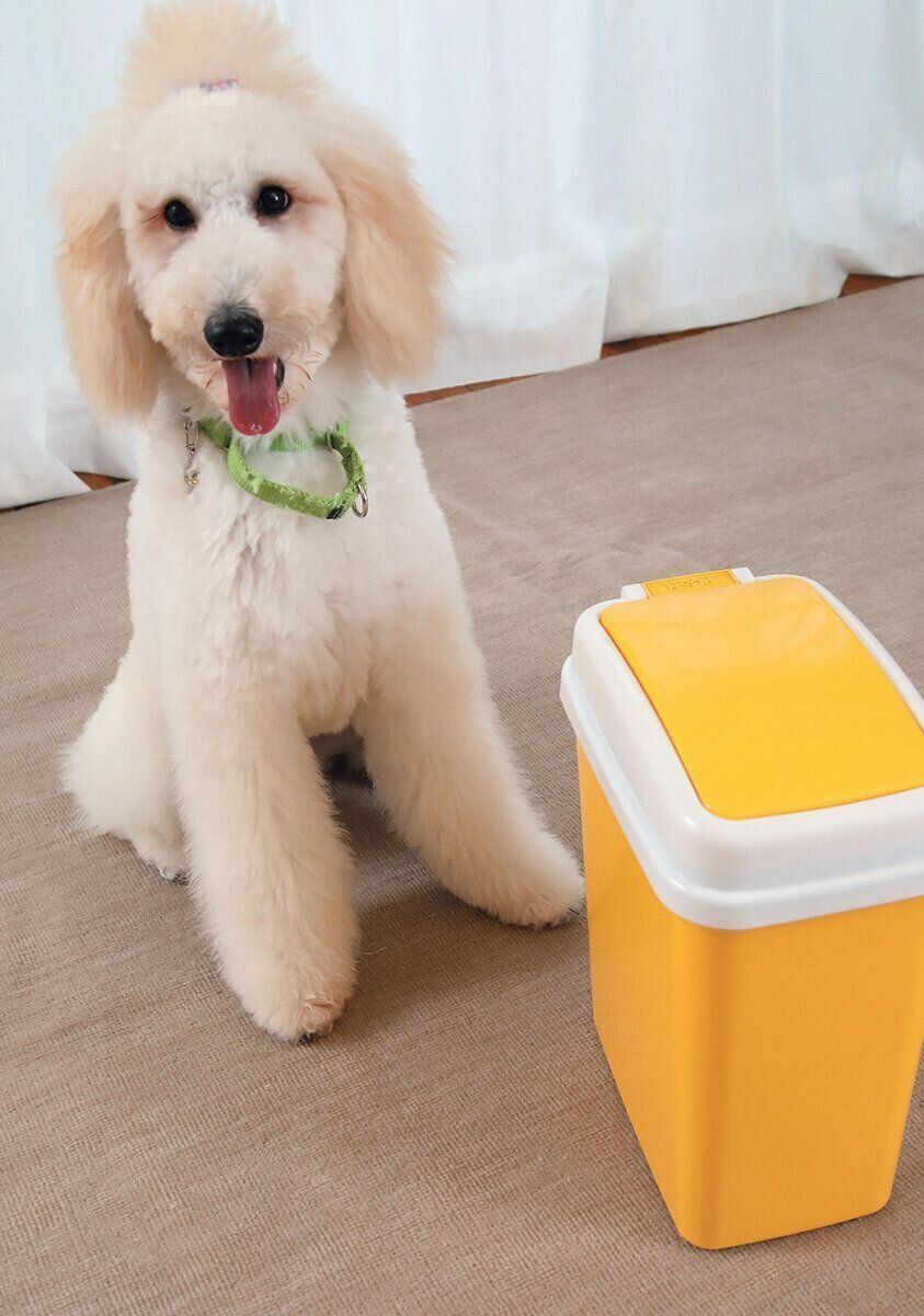 写真／尾﨑たまき