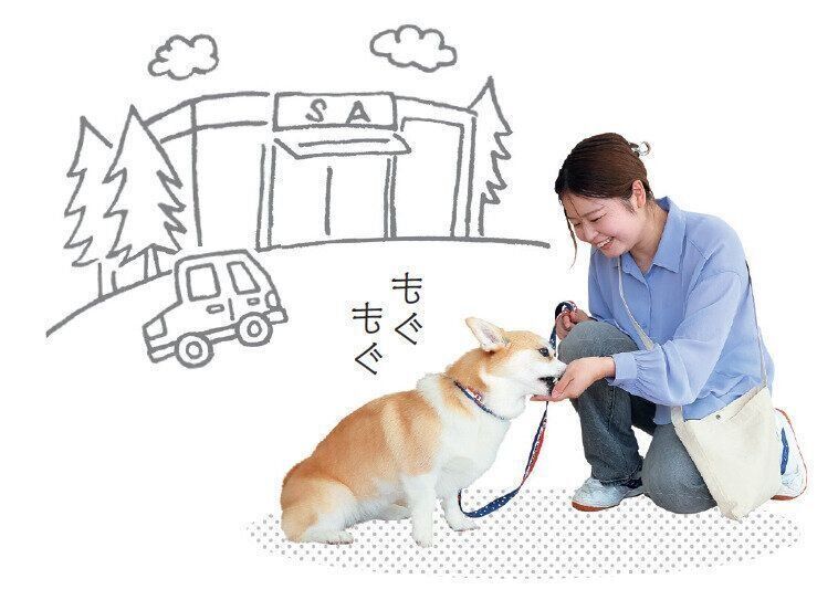 ゴハンをもらう犬