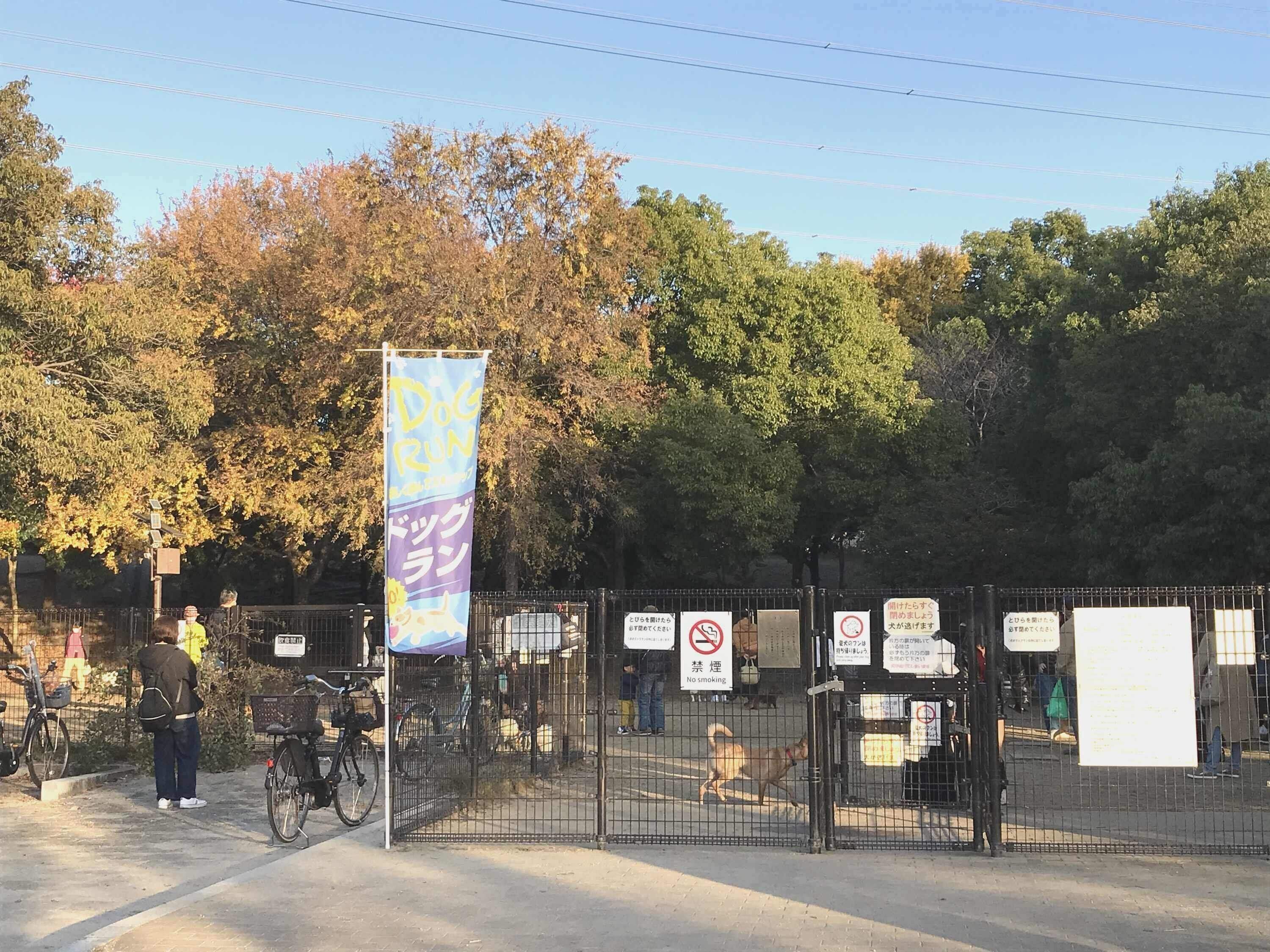 緑に囲まれたドッグラン