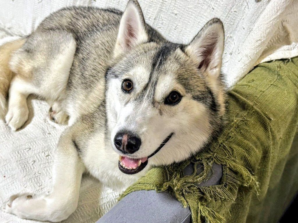 笑顔が可愛いテラちゃん