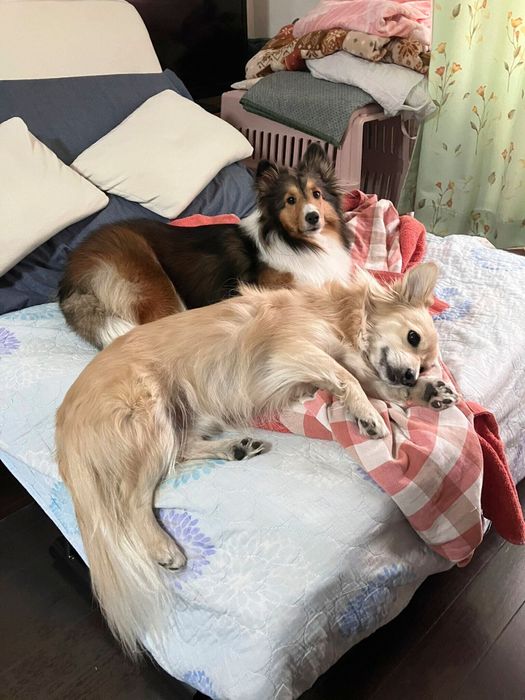 もっと距離が縮まった様子!