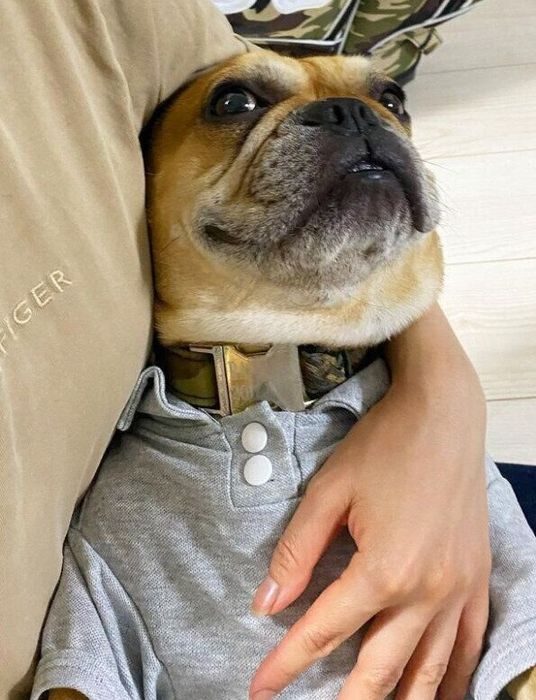 寝るときは飼い主さんの腕の中で……