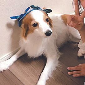 メイちゃんは同じ７才のお子さんと大の仲よし。特技もいくつかできたそう