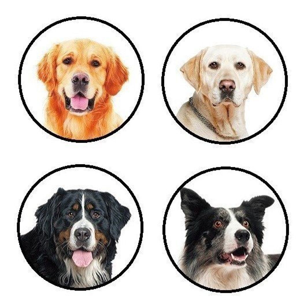 犬がお尻をフリフリして歩いていたら かわいいけど病気のサインかも いぬのきもちweb Magazine 犬がお尻をフリフリして歩いていたら かわいいけど病気のサインかも いぬのきもちweb Magazine