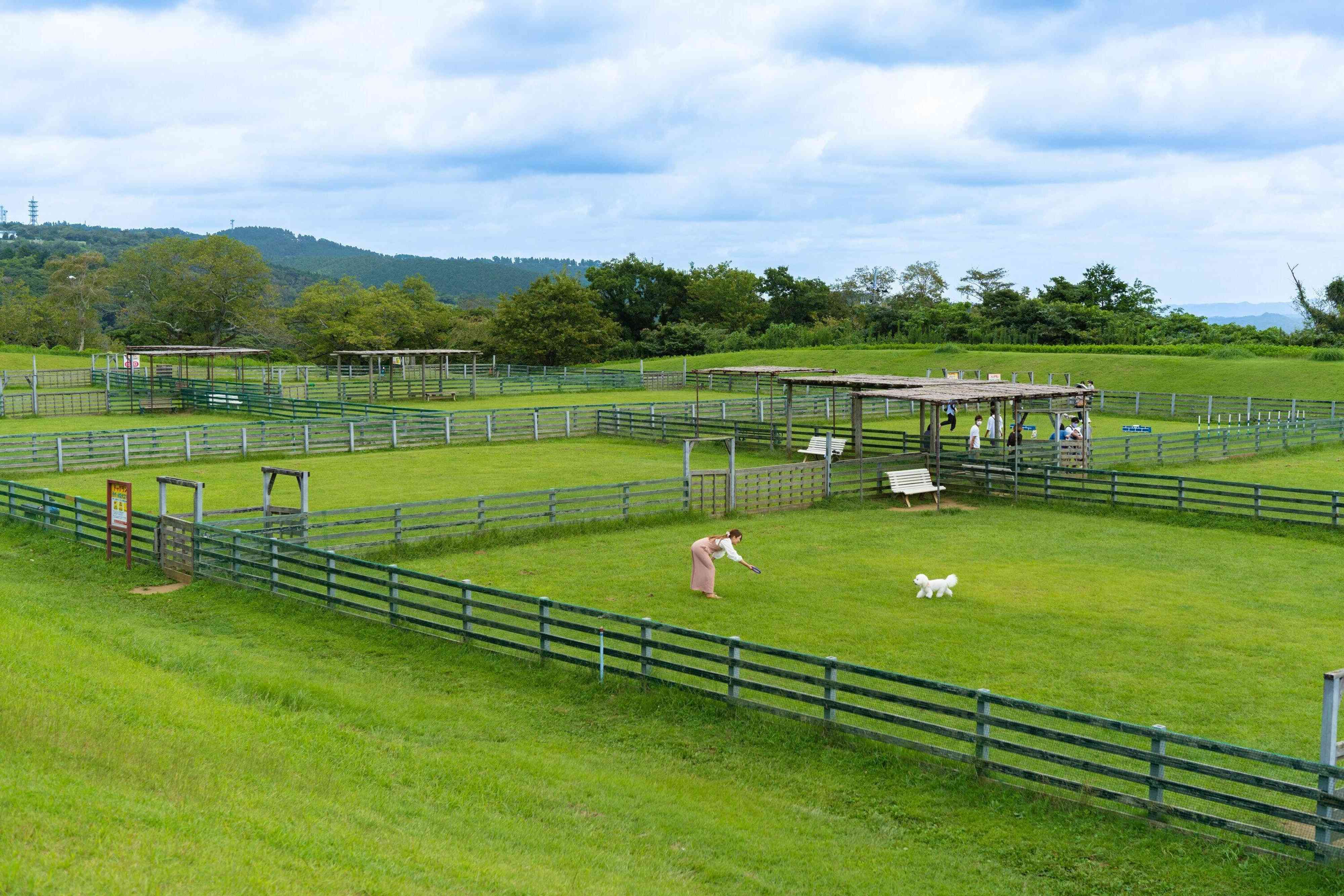 Pr 体験レポ 千葉県 マザー牧場 は犬連れのお出かけに最高な遊び場でした いぬのきもちweb Magazine Pr 体験レポ 千葉県 マザー牧場 は犬連れのお出かけに最高な遊び場でした いぬのきもちweb Magazine