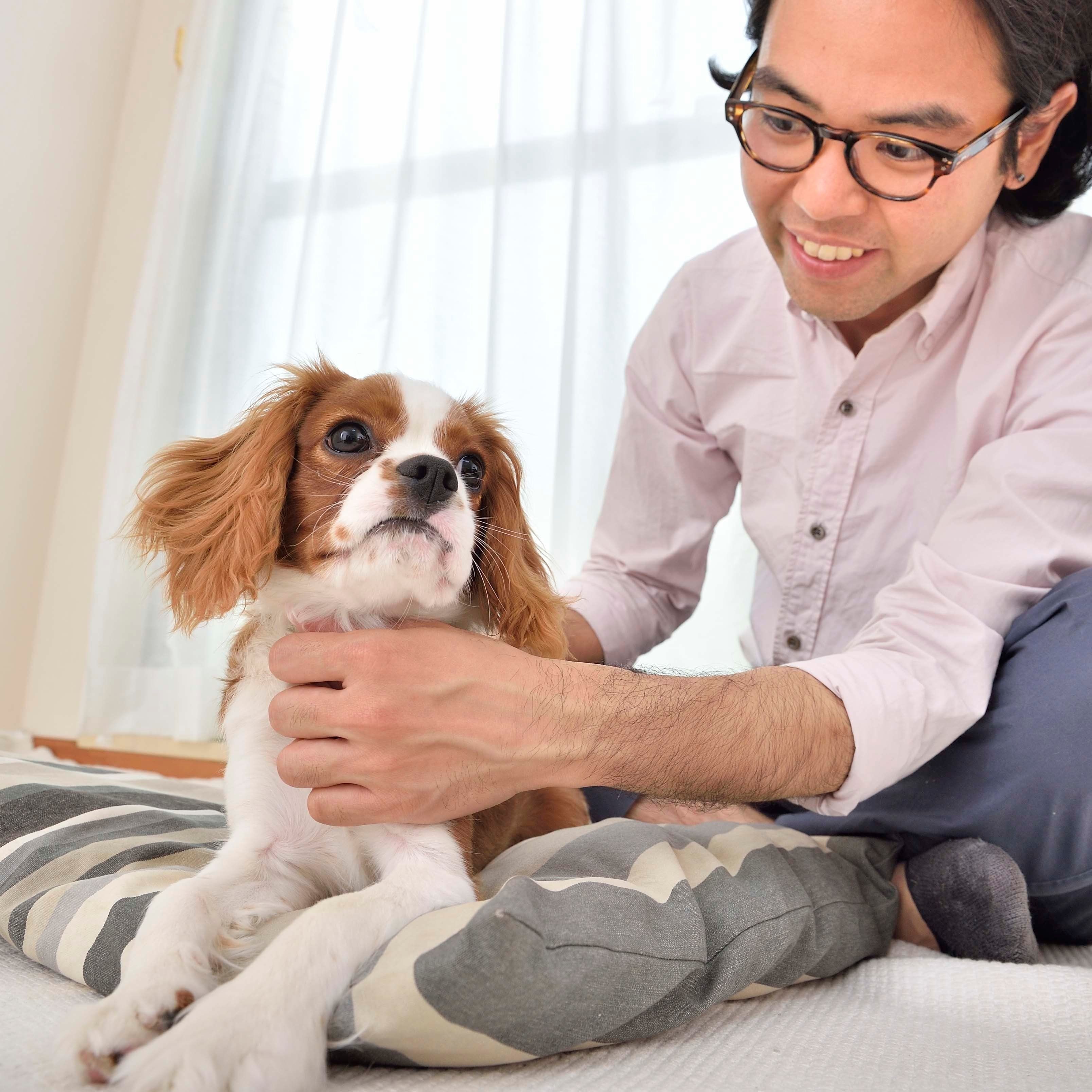 吠えにくい犬 に育てるために 今日からできることって いぬのきもちweb Magazine