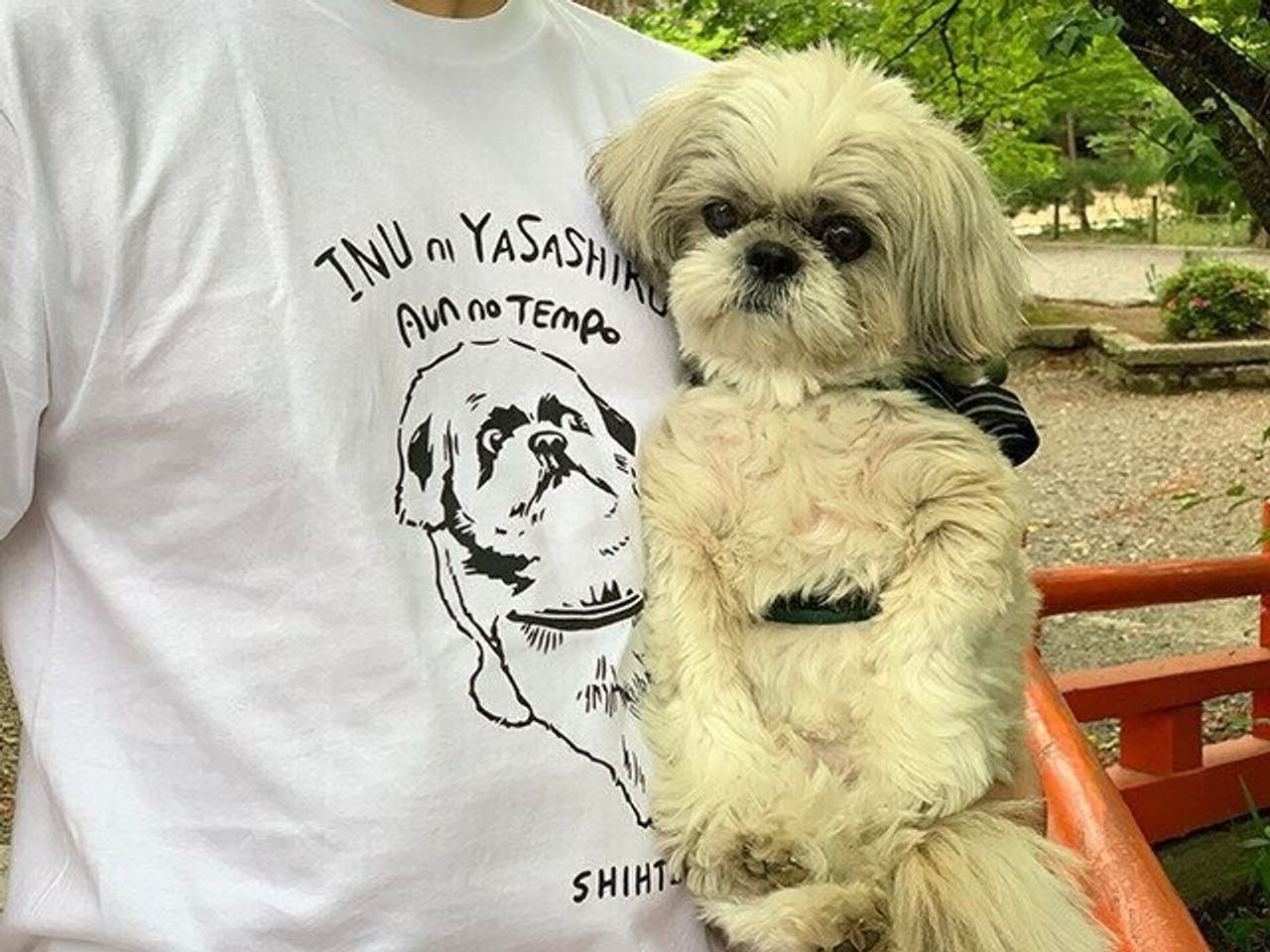 勝手な仲間意識 親近感いっぱいのtシャツ柄 連載 シーズー犬のてんぽ 第147回 いぬのきもちweb Magazine 勝手な仲間意識 親近感いっぱいのtシャツ柄 連載 シーズー犬のてんぽ 第147回 いぬのきもちweb Magazine